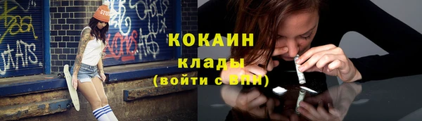 винт Абаза