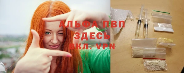 винт Абаза