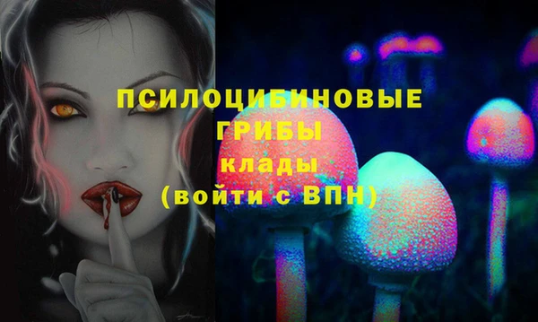 винт Абаза