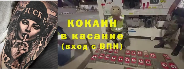 винт Абаза