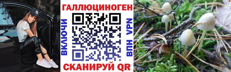 Псилоцибиновые грибы прущие грибы  OMG онион  Туринск 